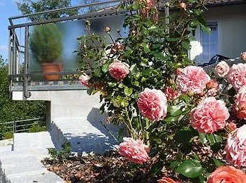 Penzion Landgasthof Am Sonnenhang 3*