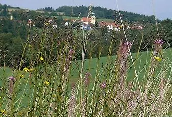Penzion Landgasthof Am Sonnenhang Vohenstrauss